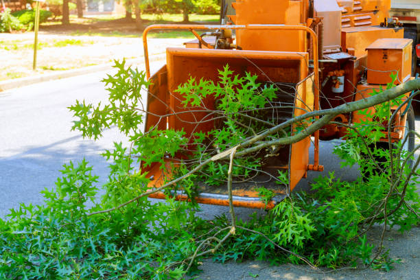 Lawn Watering Services in Park City, TN